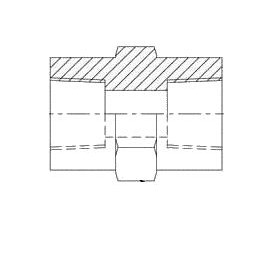 1/4" FEMALE PIPE X 1/4" FEMALE PIPE STRA