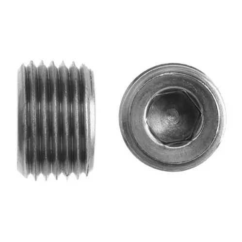 1" HOLLOW HEX PIPE PLUG, STEEL