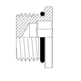 3/4" MALE O-RING BOSS HOLLOW HEX PLUG, S