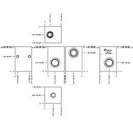 LINE MOUNT, THROUGH PORT 1 W/ GAUGE PORT