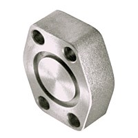 1" CD 61, BLANKING FLANGE, ORING 219, CS