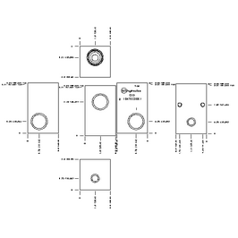 LINE MOUNT, THROUGH PORT WITH GAUGE PORT