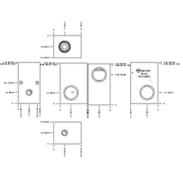 LINE MOUNT, THROUGH PORT WITH GAUGE PORT