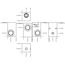 LINE MOUNT, THROUGH PORT WITH GAUGE PORT