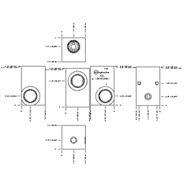 LINE MOUNT, THROUGH PORT WITH GAUGE PORT