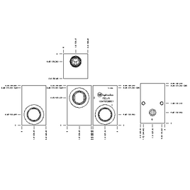 LINE MOUNT, THROUGH PORT WITH GAUGE PORT