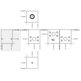 LINE MOUNT, THROUGH PORT WITH GAUGE PORT